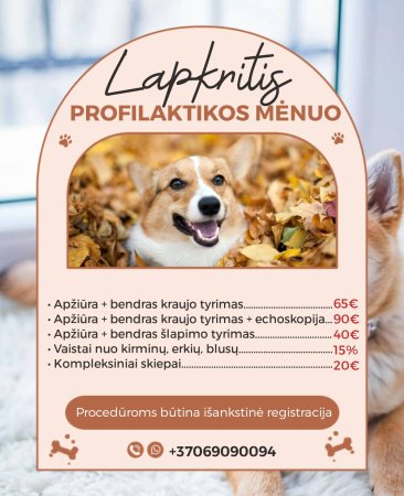 2024 Lapkritis- profilaktikos mėnuo